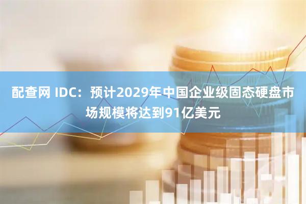 配查网 IDC：预计2029年中国企业级固态硬盘市场规模将达到91亿美元