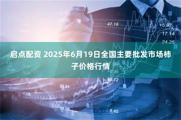 启点配资 2025年6月19日全国主要批发市场柿子价格行情