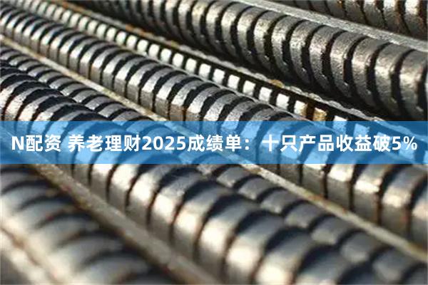 N配资 养老理财2025成绩单：十只产品收益破5%